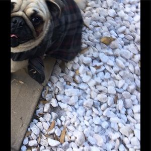 Meet your Posher, Nancy